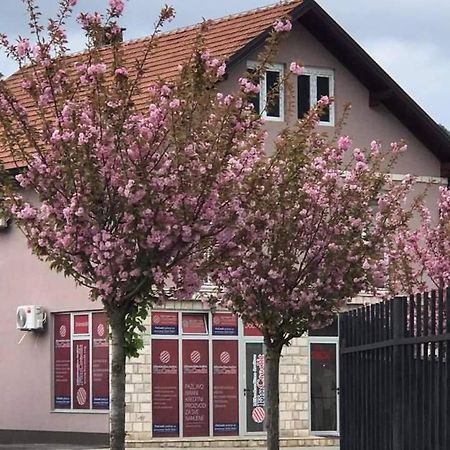 Apartman Poljcic Βίσεγκραντ Εξωτερικό φωτογραφία