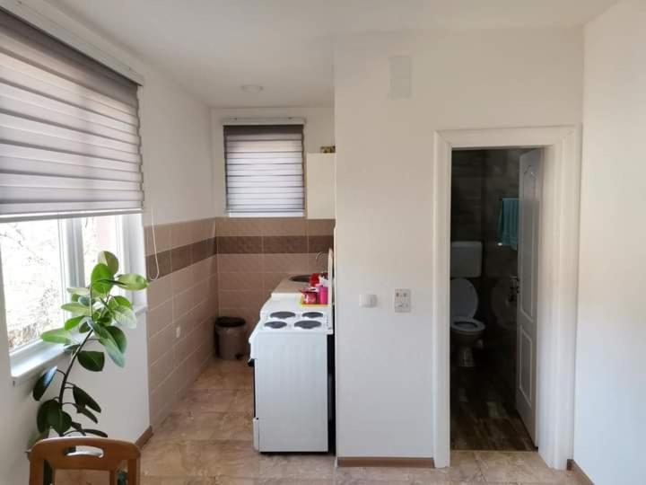 Apartman Poljcic Βίσεγκραντ Εξωτερικό φωτογραφία