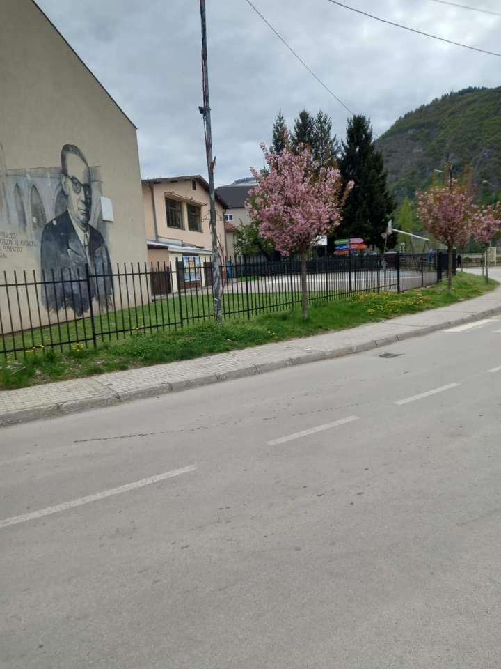 Apartman Poljcic Βίσεγκραντ Εξωτερικό φωτογραφία
