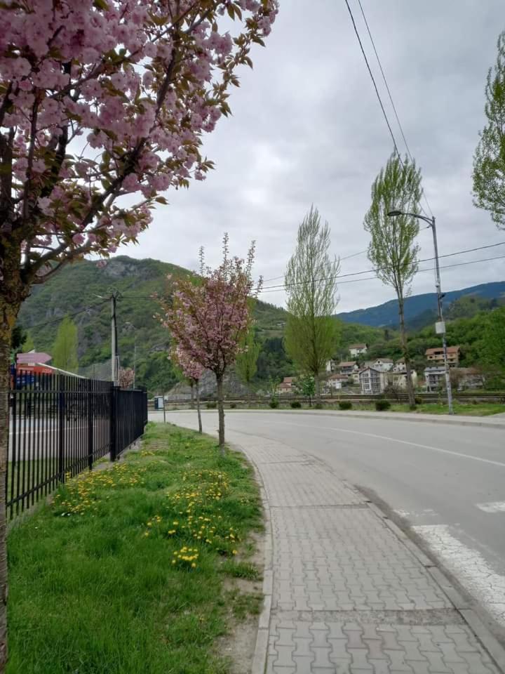 Apartman Poljcic Βίσεγκραντ Εξωτερικό φωτογραφία